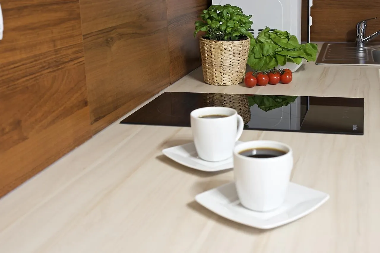 Apart-Center Motyl Apartment Zakopane Poland